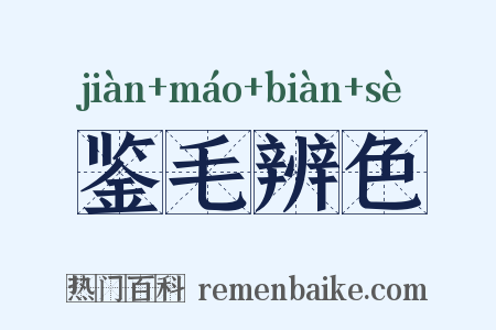 鉴毛辨色是什么意思的图片